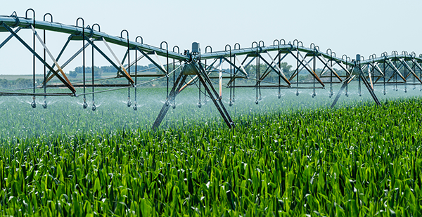 Agricultural-Irrigation-Image